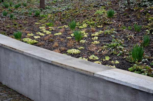 Concrete Wall Construction in Draper