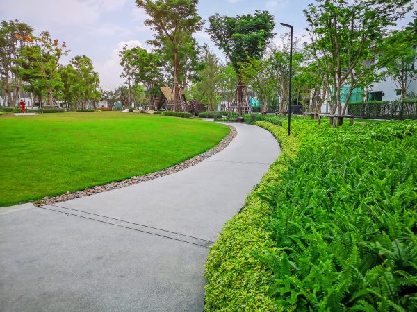 Cement Walkway Service in Draper