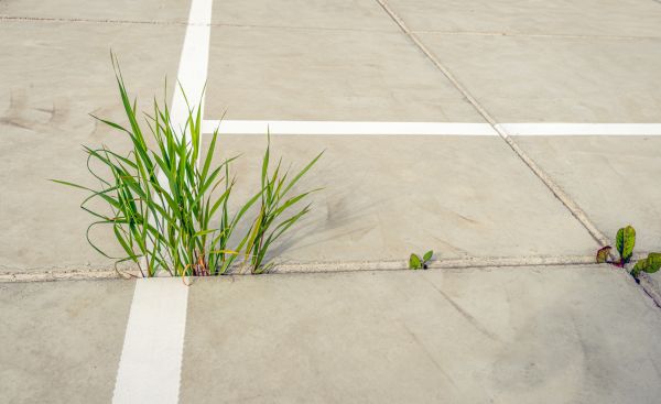 Concrete Parking Installation in Draper